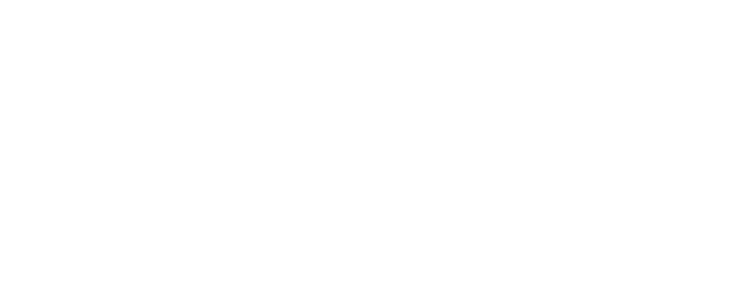 Tow Bros Llc